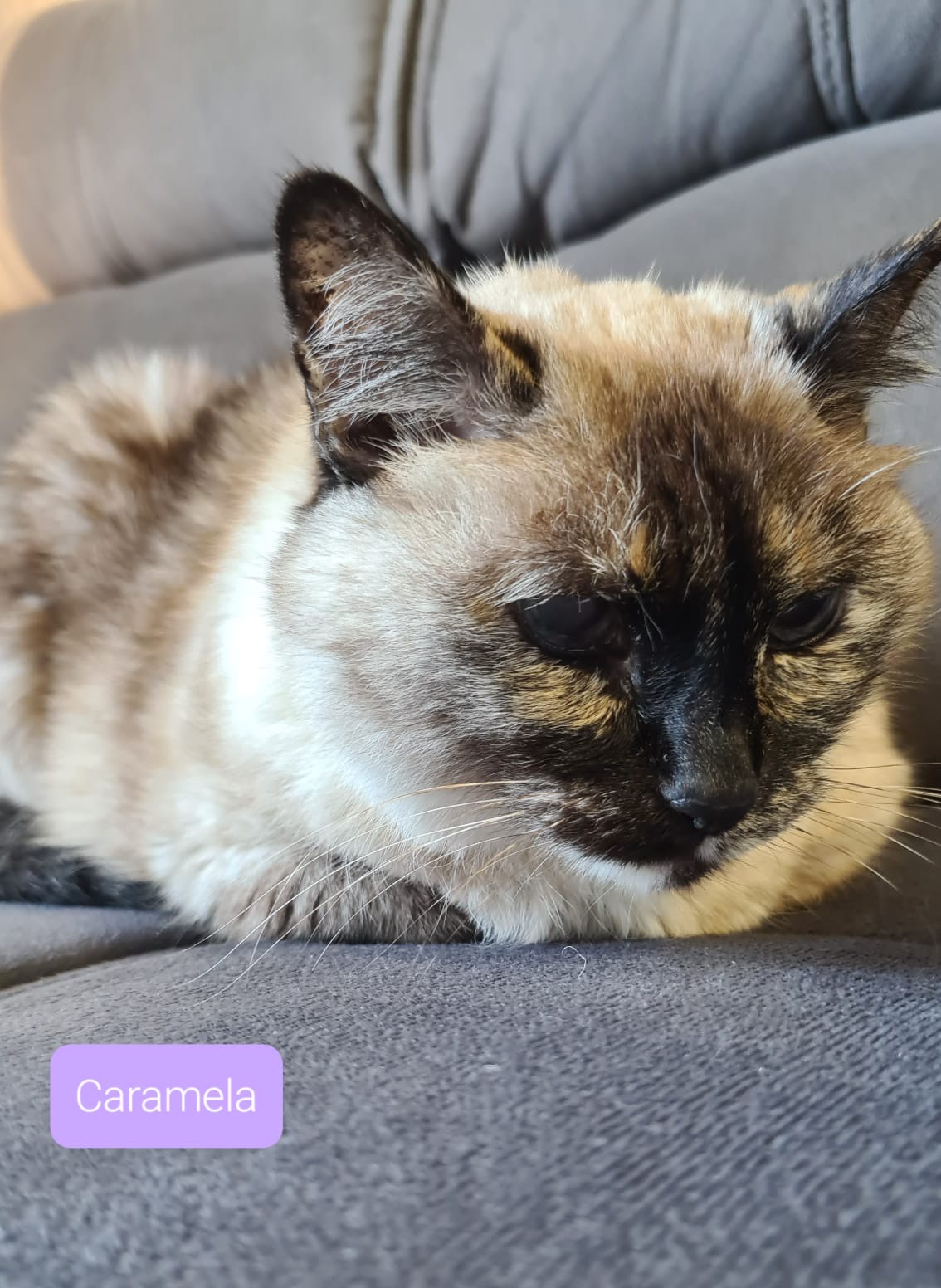 Caramela